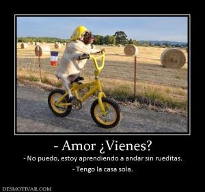- Amor ¿Vienes? - No puedo, estoy aprendiendo a andar sin rueditas. - Tengo la casa sola.