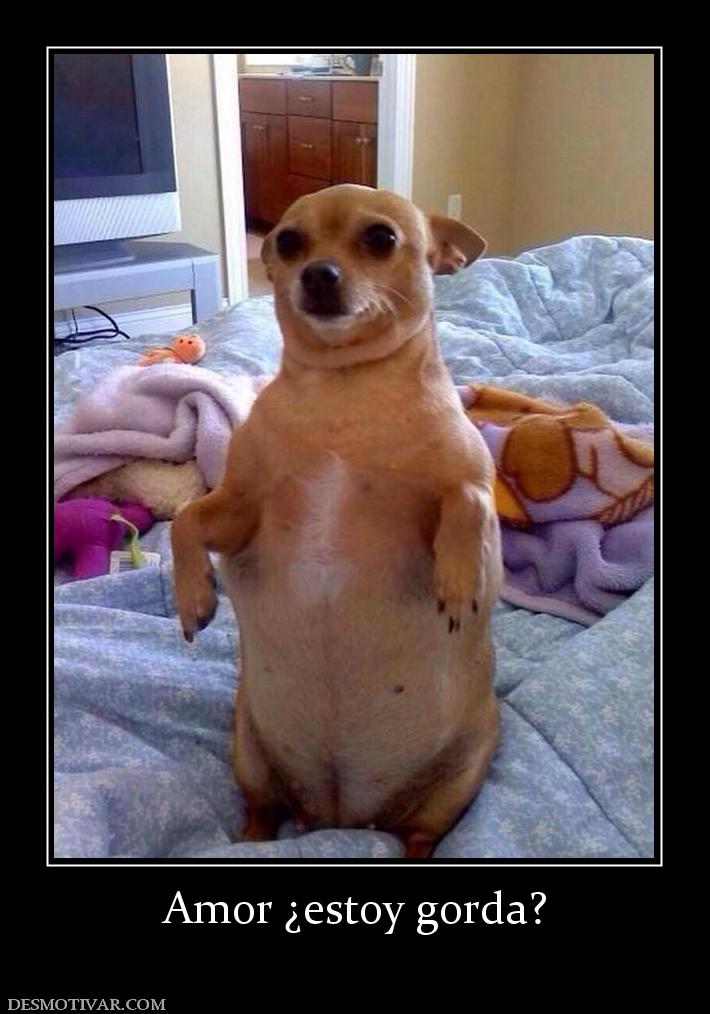 Amor ¿estoy gorda?