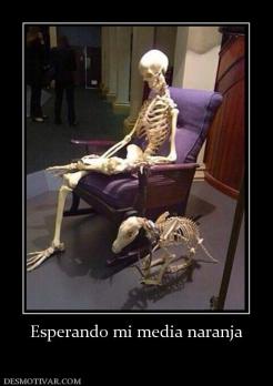 Esperando mi media naranja