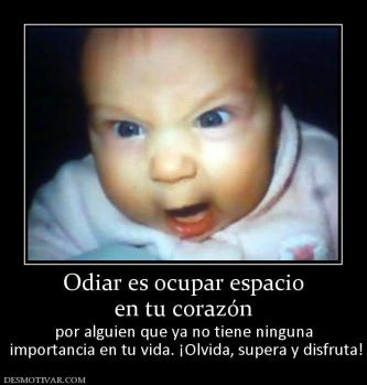 Odiar es ocupar espacio en tu corazón por alguien que ya no tiene ninguna  importancia en tu vida. ¡Olvida, supera y disfruta!