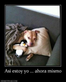 Asi estoy yo ... ahora mismo