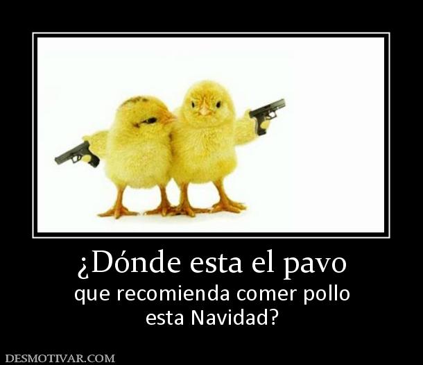 ¿Dónde esta el pavo que recomienda comer pollo esta Navidad?