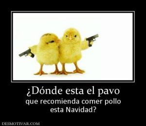 ¿Dónde esta el pavo que recomienda comer pollo esta Navidad?