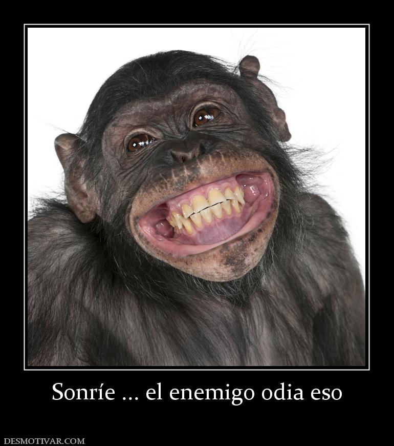Sonríe ... el enemigo odia eso