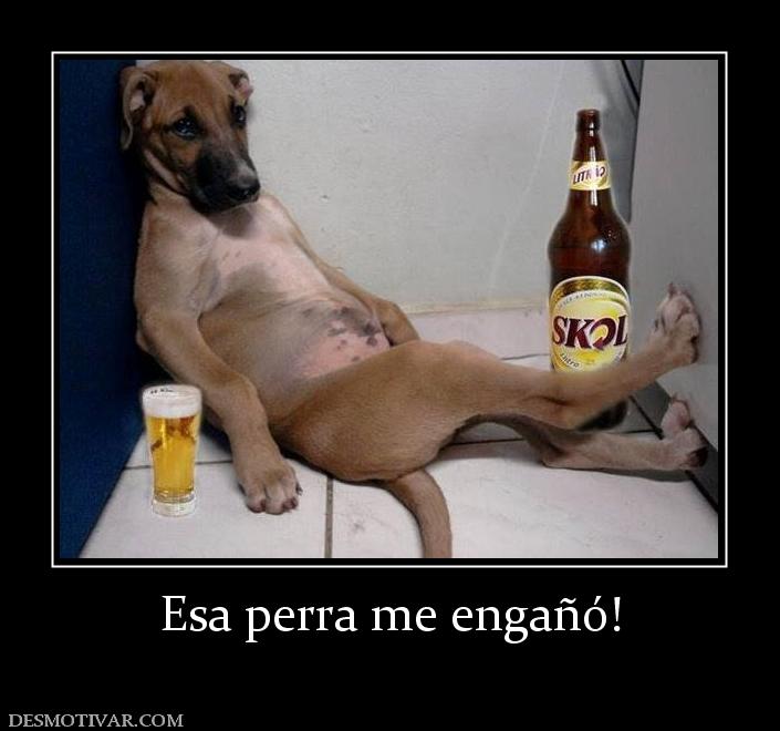 Esa perra me engañó!