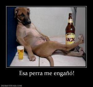 Esa perra me engañó!