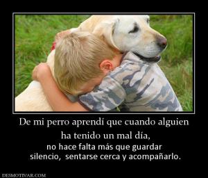 De mi perro aprendí que cuando alguien  ha tenido un mal día, no hace falta más que guardar  silencio,  sentarse cerca y acompañarlo.