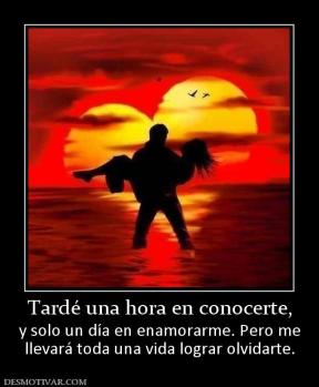 Tardé una hora en conocerte, y solo un día en enamorarme. Pero me llevará toda una vida lograr olvidarte.