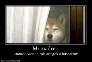 Mi madre... cuando vienen mis amigos a buscarme