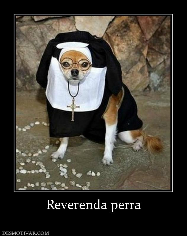 Reverenda perra