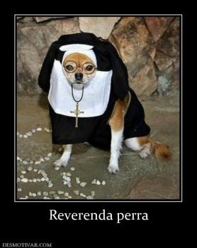 Reverenda perra