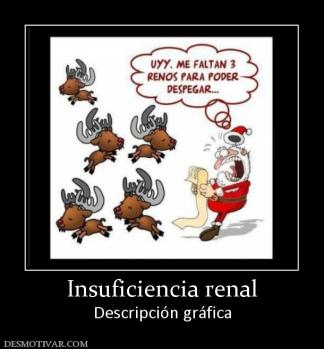 Insuficiencia renal Descripción gráfica