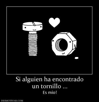 Si alguien ha encontrado un tornillo ... Es mío!