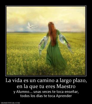 La vida es un camino a largo plazo, en la que tu eres Maestro  y Alumno... unas veces te toca enseñar, todos los días te toca Aprender
