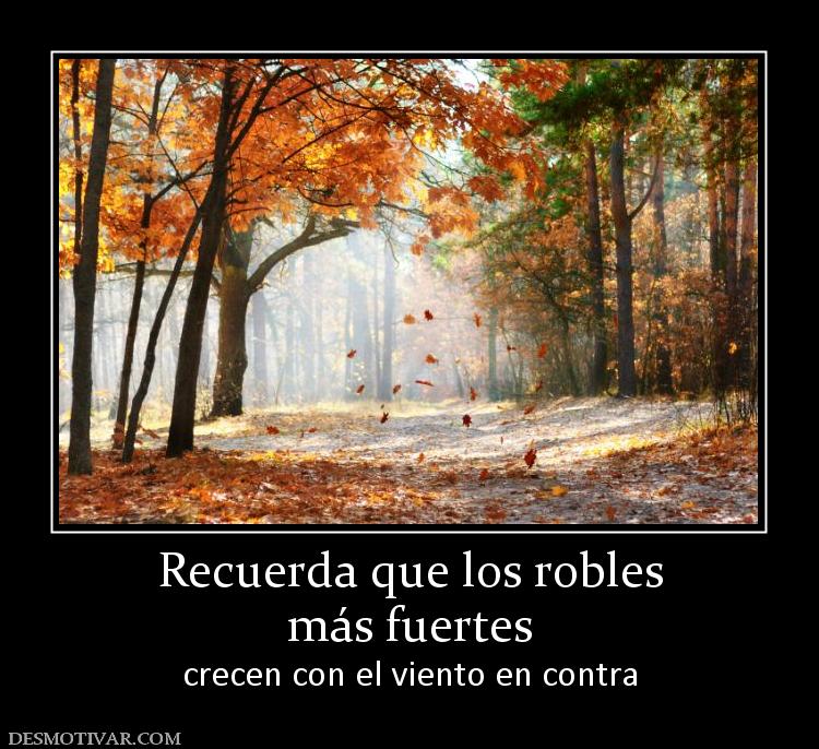 Recuerda que los robles más fuertes  crecen con el viento en contra
