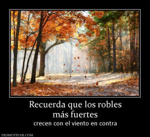 Recuerda que los robles más fuertes  crecen con el viento en contra