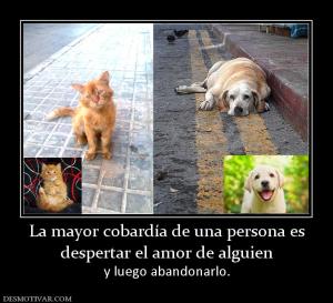 La mayor cobardía de una persona es despertar el amor de alguien y luego abandonarlo.