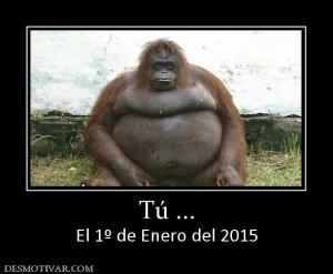 Tú ... El 1º de Enero del 2015
