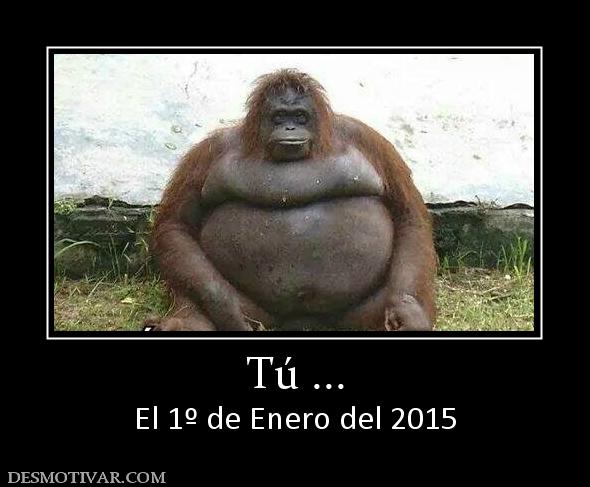 Tú ... El 1º de Enero del 2015