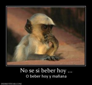 No se si beber hoy ... O beber hoy y mañana