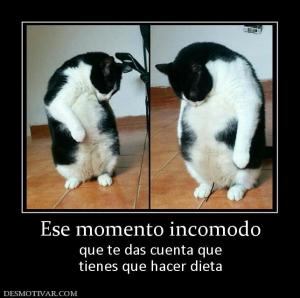 Ese momento incomodo que te das cuenta que tienes que hacer dieta