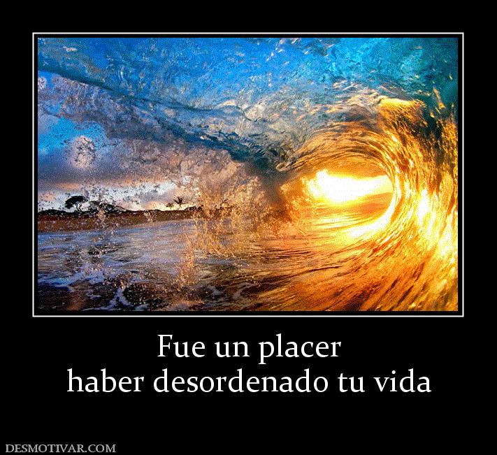 Fue un placer haber desordenado tu vida