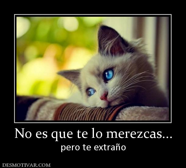 No es que te lo merezcas... pero te extraño