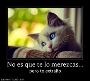 No es que te lo merezcas... pero te extraño