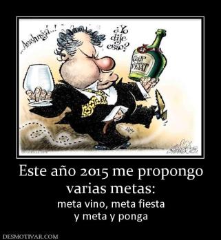 Este año 2015 me propongo varias metas: meta vino, meta fiesta y meta y ponga