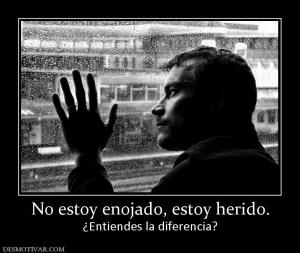 No estoy enojado, estoy herido. ¿Entiendes la diferencia?
