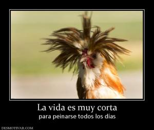 La vida es muy corta para peinarse todos los días