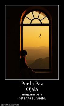 Por la Paz Ojalá  ninguna bala detenga su vuelo.