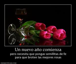 Un nuevo año comienza pero necesita que pongas semillitas de fe para que broten las mejores rosas