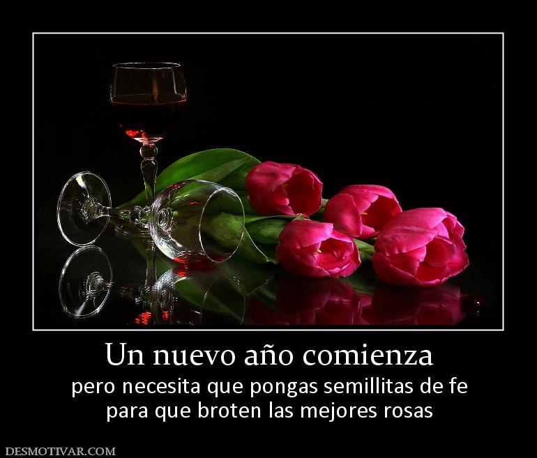 Un nuevo año comienza pero necesita que pongas semillitas de fe para que broten las mejores rosas