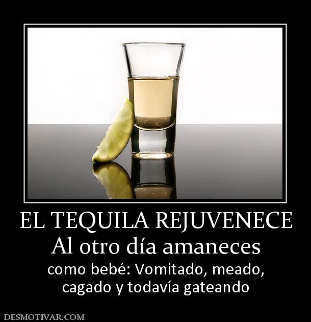 EL TEQUILA REJUVENECE Al otro día amaneces  como bebé: Vomitado, meado, cagado y todavía gateando