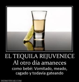 EL TEQUILA REJUVENECE Al otro día amaneces  como bebé: Vomitado, meado, cagado y todavía gateando