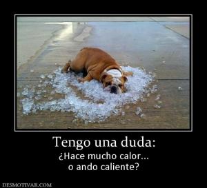 Tengo una duda: ¿Hace mucho calor... o ando caliente?