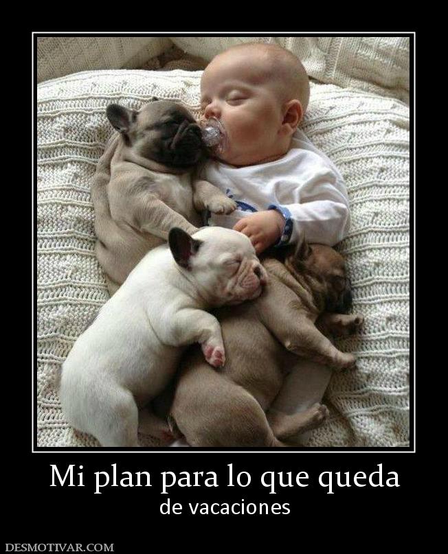 Mi plan para lo que queda de vacaciones