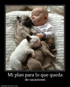 Mi plan para lo que queda de vacaciones