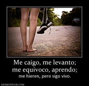 Me caigo, me levanto; me equivoco, aprendo;  me hieren, pero sigo vivo.