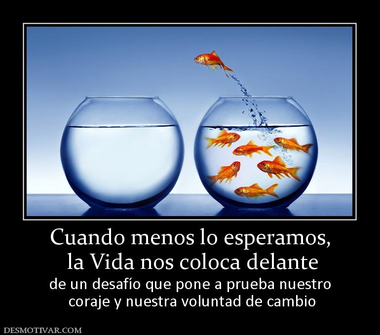 Cuando menos lo esperamos,  la Vida nos coloca delante de un desafío que pone a prueba nuestro  coraje y nuestra voluntad de cambio