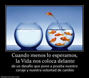 Cuando menos lo esperamos,  la Vida nos coloca delante de un desafío que pone a prueba nuestro  coraje y nuestra voluntad de cambio