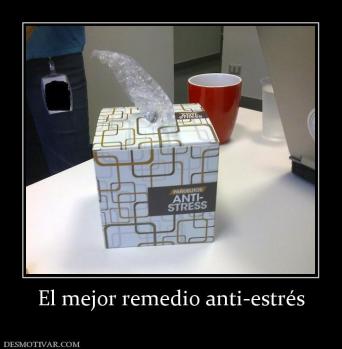 El mejor remedio anti-estrés