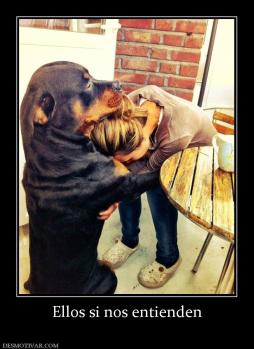 Ellos si nos entienden