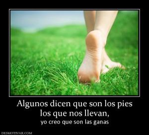 Algunos dicen que son los pies los que nos llevan,  yo creo que son las ganas
