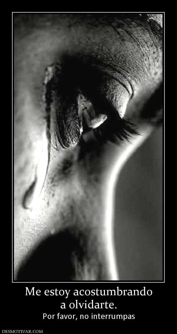 Me estoy acostumbrando a olvidarte. Por favor, no interrumpas