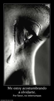 Me estoy acostumbrando a olvidarte. Por favor, no interrumpas