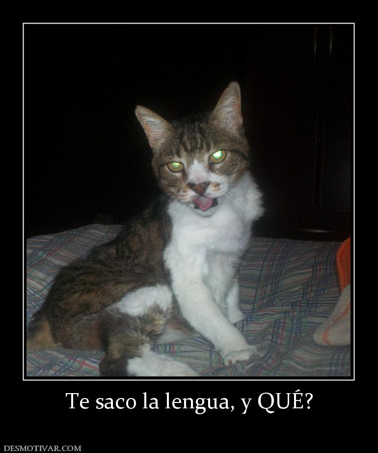 Te saco la lengua, y QUÉ?