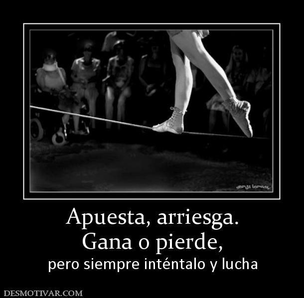 Apuesta, arriesga. Gana o pierde,  pero siempre inténtalo y lucha