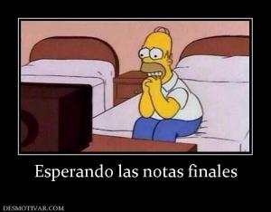 Esperando las notas finales